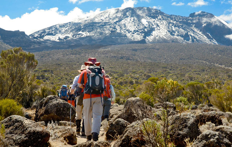 Climbing In Kilimanjaro