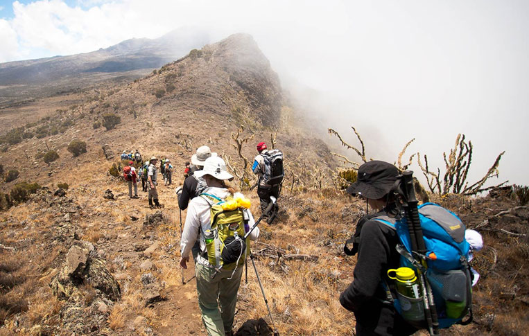 Climbing In Kilimanjaro
