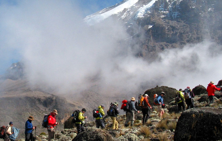 Climbing In Kilimanjaro